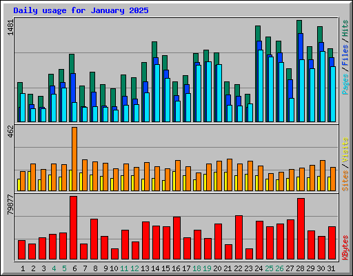 Daily usage for January 2025