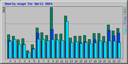 Hourly usage for April 2024