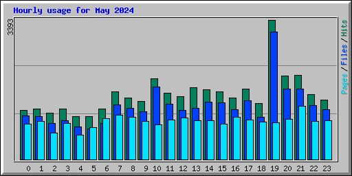 Hourly usage for May 2024