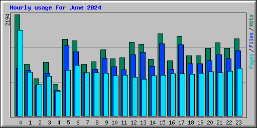 Hourly usage for June 2024