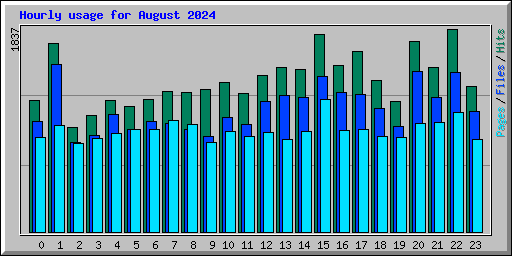 Hourly usage for August 2024