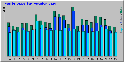 Hourly usage for November 2024