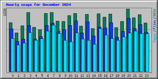 Hourly usage for December 2024