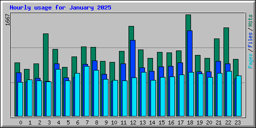 Hourly usage for January 2025